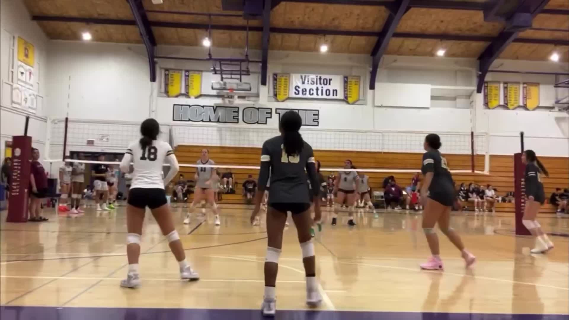 Volleyball Recap: 12 Straight Home  Victories for Saint Mary's