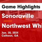 Basketball Game Preview: Sonoraville Phoenix vs. Central Lions