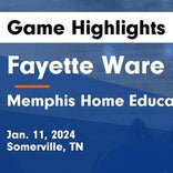 Basketball Game Preview: Fayette Ware Wildcats vs. Haywood Tomcats