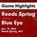 Basketball Game Recap: Reeds Spring Wolves vs. Parkview Vikings