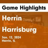 Basketball Game Preview: Herrin Tigers vs. Massac County Patriots