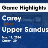 Basketball Game Preview: Carey Blue Devils vs. Mohawk Warriors