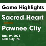 Basketball Game Preview: Sacred Heart Irish vs. Howells-Dodge Jaguars