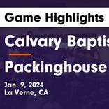 Basketball Game Recap: Calvary Baptist Cougars vs. Packinghouse Christian Academy Bears