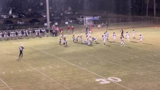 Baseball Game Preview: Houston County Lions vs. Seminole County 