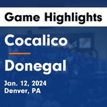 Cocalico's loss ends three-game winning streak at home
