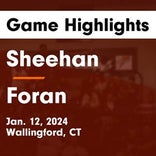 Foran vs. Sheehan