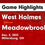Meadowbrook vs. West Holmes
