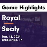 Basketball Game Recap: Sealy Tigers vs. Bay City Blackcats