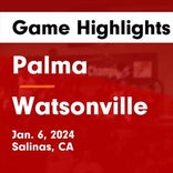 Palma's loss ends four-game winning streak at home