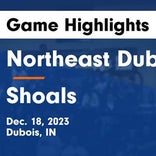 Northeast Dubois vs. North Daviess