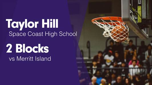 Softball Game Preview: Space Coast Vipers vs. Mainland Buccaneers