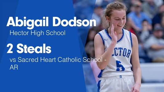 Softball Game Preview: Hector Wildcats vs. Atkins Red Devils