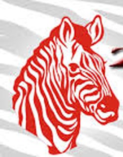 Claremore Zebras