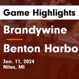 Basketball Game Preview: Brandywine Bobcats vs. Countryside Academy Cougar