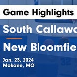 Basketball Game Recap: New Bloomfield Wildcats vs. North Callaway Thunderbirds