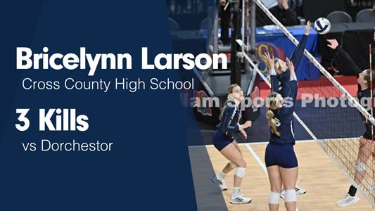 Bricelynn Larson Game Report: vs High Plains