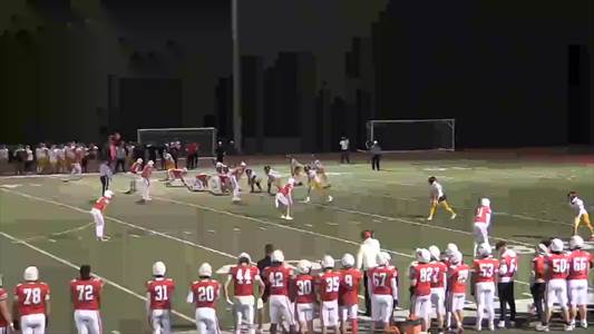 Baseball Game Preview: Avonworth Antelopes vs. Hopewell Vikings