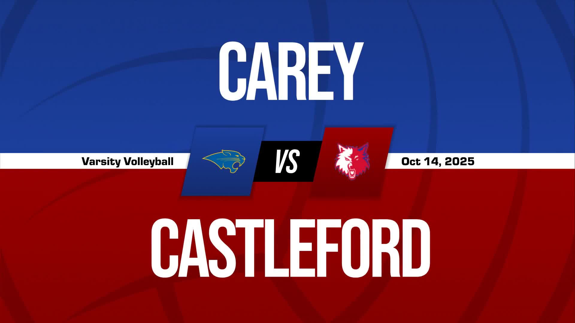 Volleyball Recap: Carey Falls Short of Genesee in the Playoffs