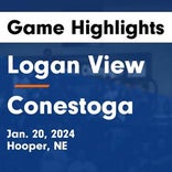 Basketball Game Recap: Conestoga Cougars vs. Falls City Tigers