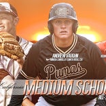 2016 MaxPreps California Medium Schools All-State Baseball Teams 