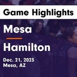 Mesa vs. Hamilton