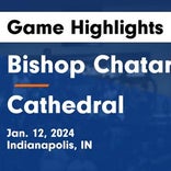 Basketball Game Preview: Indianapolis Bishop Chatard Trojans vs. Indian Creek Braves