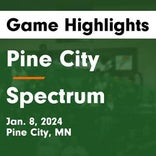 Basketball Game Preview: Spectrum Sting vs. Rockford Rockets