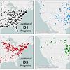 What percentage of college football players from California stay in-state?