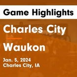 Waukon vs. Houston