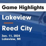 Basketball Game Preview: Lakeview Wildcats vs. Tri County Area Vikings