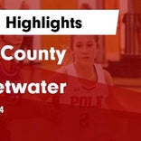 Basketball Game Recap: Polk County Wildcats vs. Copper Basin Cougars