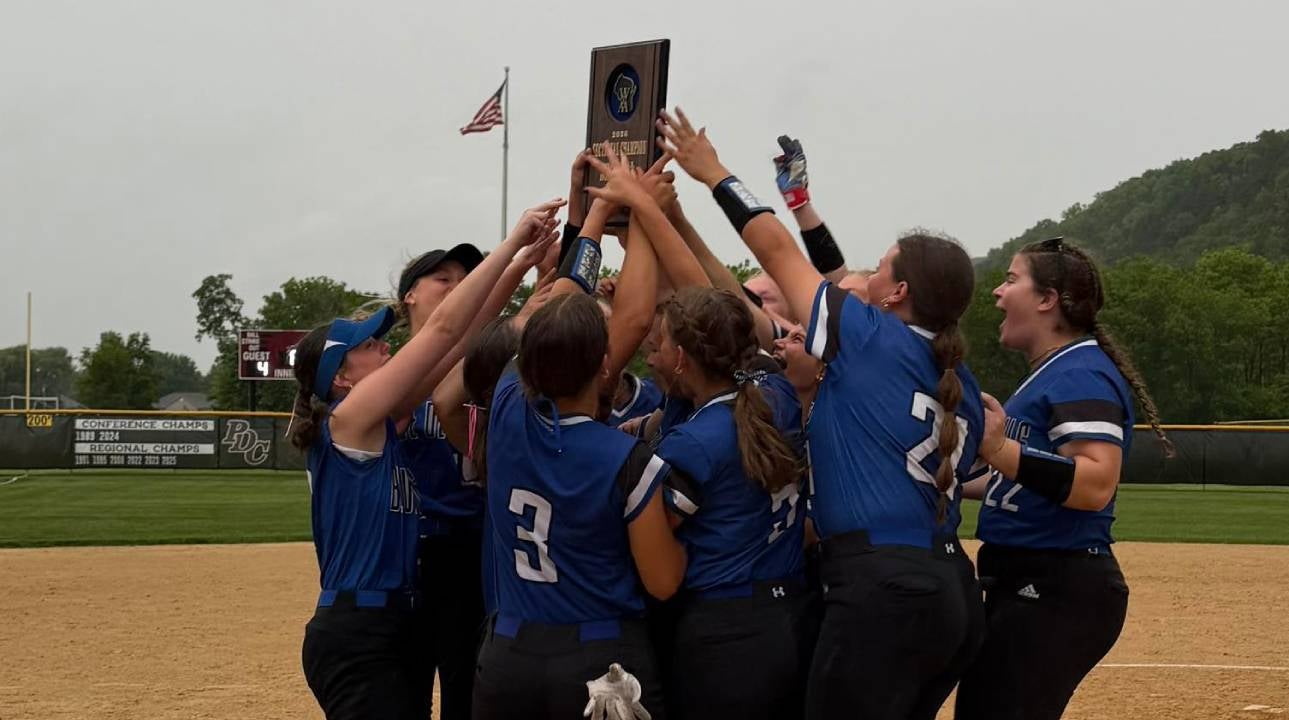 Wisconsin high school softball: State tournament field is set