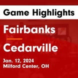 Basketball Game Preview: Fairbanks Panthers vs. Mechanicsburg Indians