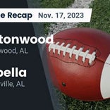 Football Game Recap: Cottonwood Bears vs. Reeltown Rebels