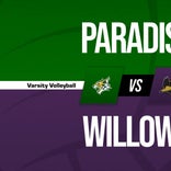 Volleyball Recap: Paradise Comes Up Short