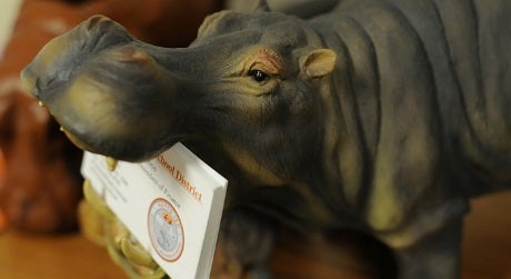 Just to show how dedicated they are, Hutto fans even have hippo business card holders.