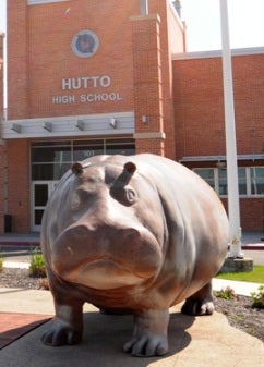 Each school in Hutto has a large concretehippo out front.
