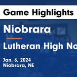 Basketball Game Preview: Niobrara/Verdigre Cougars vs. Bayard Tigers