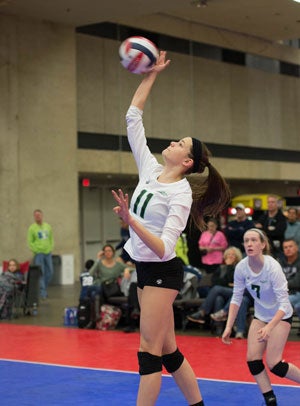 Robinson leads team in six categories.