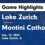 Basketball Game Preview: Lake Zurich Bears vs. Libertyville Wildcats