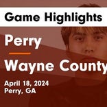 Soccer Game Recap: Perry vs. Wayne County