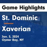 Basketball Game Recap: St. Dominic Bayhawks vs. St. Anthony's Friars