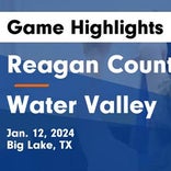 Basketball Game Recap: Reagan County Owls vs. Christoval Cougars