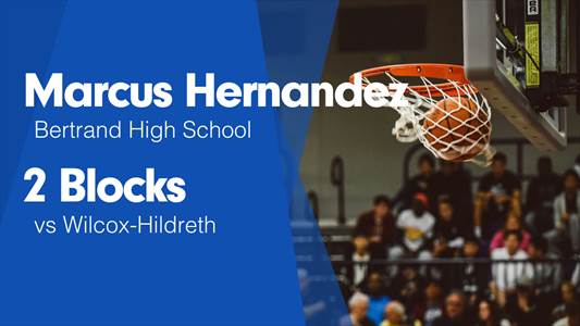 Basketball Game Preview: Bertrand Vikings vs. Loomis Wolves