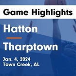Basketball Game Preview: Hatton Hornets vs. Tharptown Wildcats