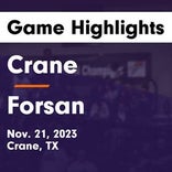 Forsan extends home losing streak to four