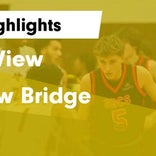 Basketball Game Recap: Meadow Bridge Wildcats vs. Mount View Golden Knights