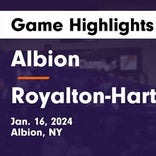 Basketball Game Preview: Albion Purple Eagles vs. Newfane Panthers