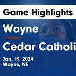 Cedar Catholic snaps four-game streak of wins on the road